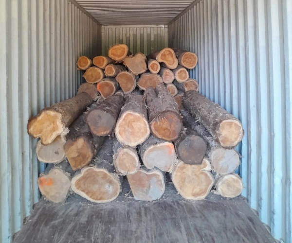 Teak Wood Log Manufacturers in Chennai